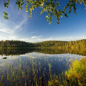 Ruhiger Waldsee unter blauem Himmel | Hof Wiesengrund Intensivangebot Schweden